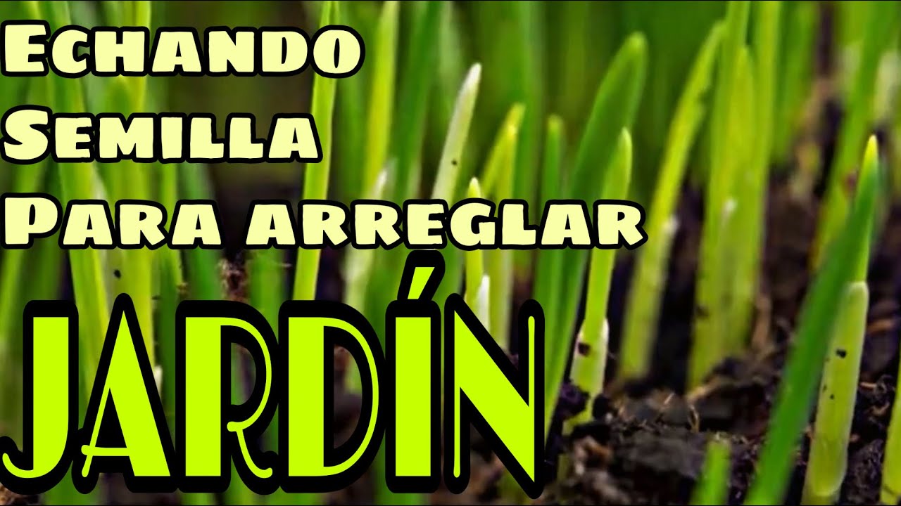 Como arreglar espacios sin pasto.