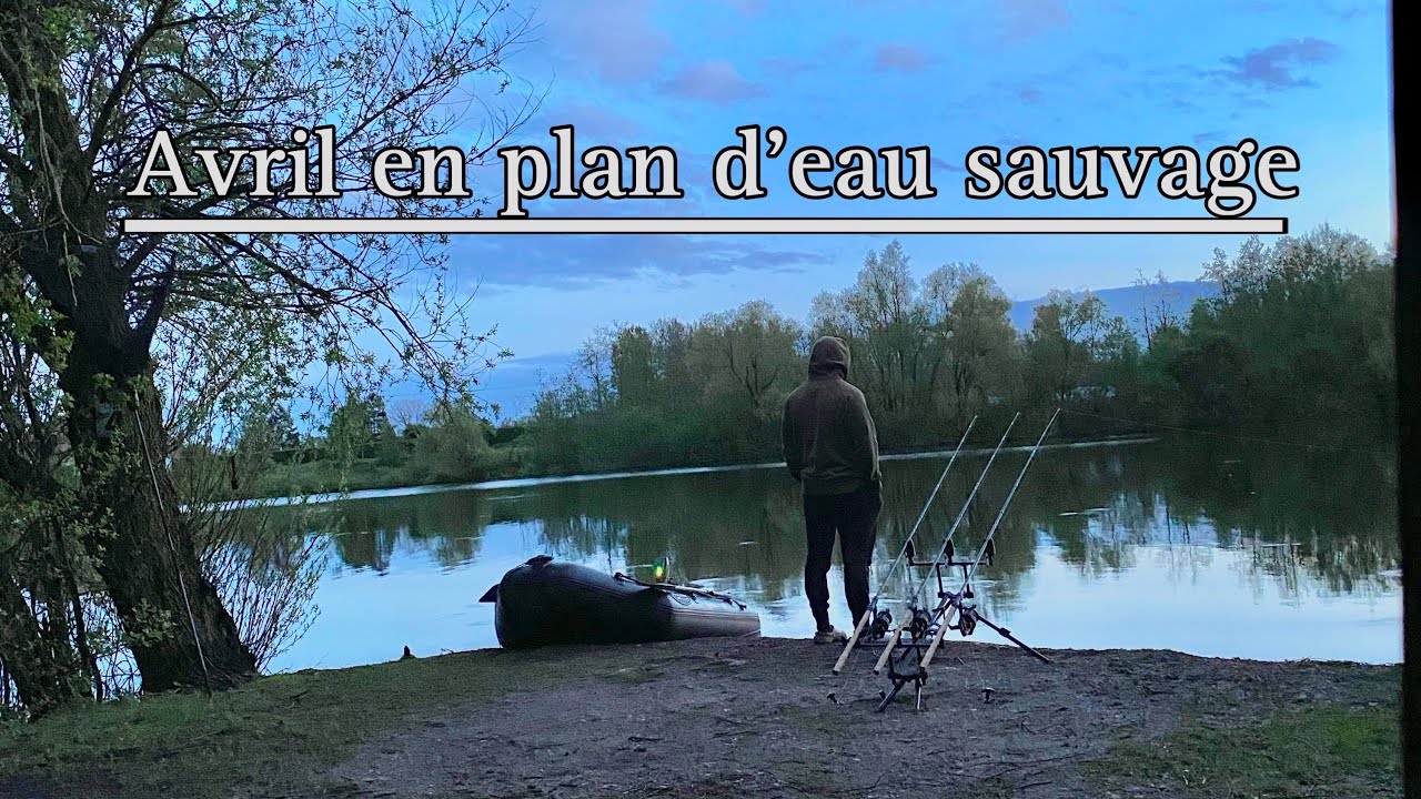 La Traque : avril en plan d'eau sauvage ~ Pêche de la carpe ~ Épisode 1