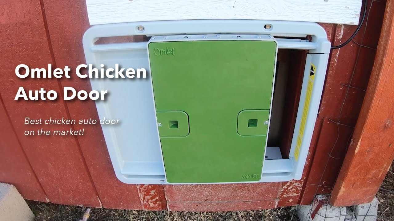 BEST AUTO CHICKEN DOOR. Omlet Chicken Door Install and 1-year Review