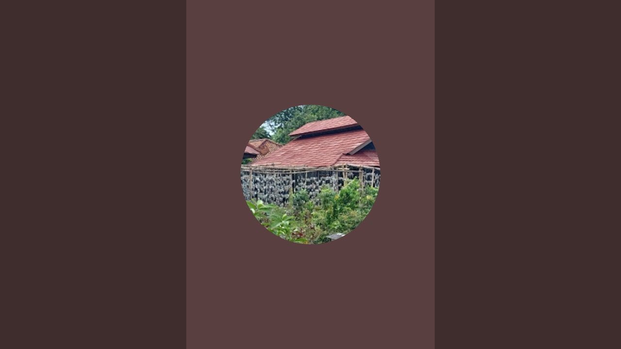 pohon durianku  patah cabang-cabangnya