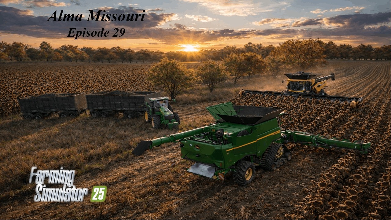 BIG SUNFLOWER HARVEST for Contracts, Collecting Hay bales | Alma Missouri | FS25 | Episode #29