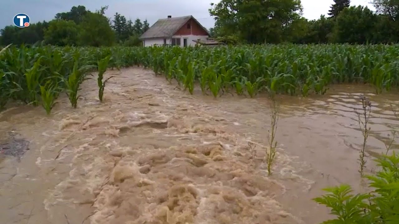 Kolubara potopila 100 hektara pod zasadom, voda ušla i u kuće