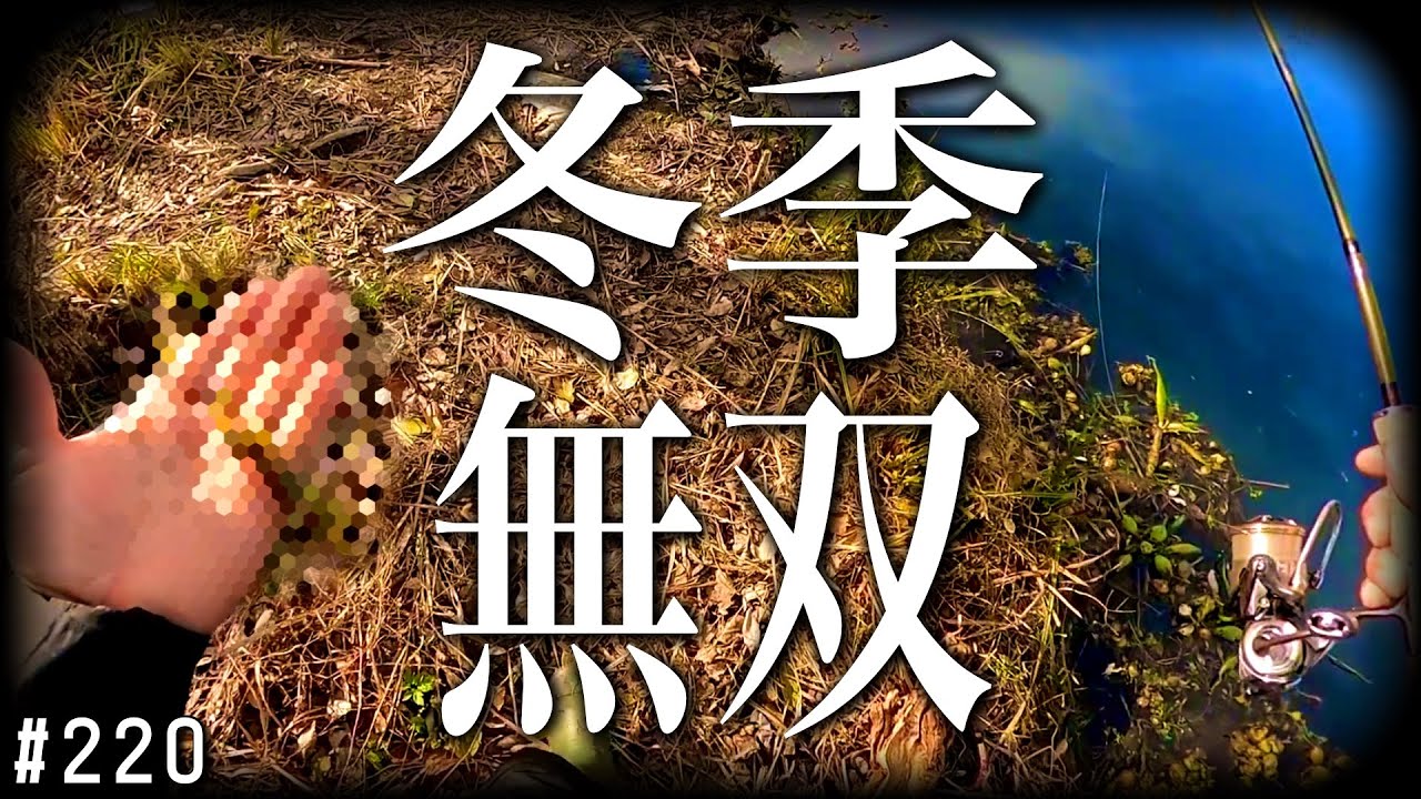 琵琶湖水系12月のオカッパリあっさりデカバス2025.12.20