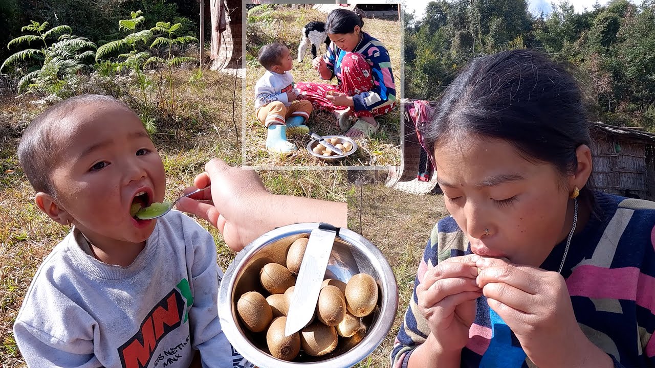 manjita & son Niyabung are enjoying village local  kiwi | shepherd life of Nepal || Himalayan Life