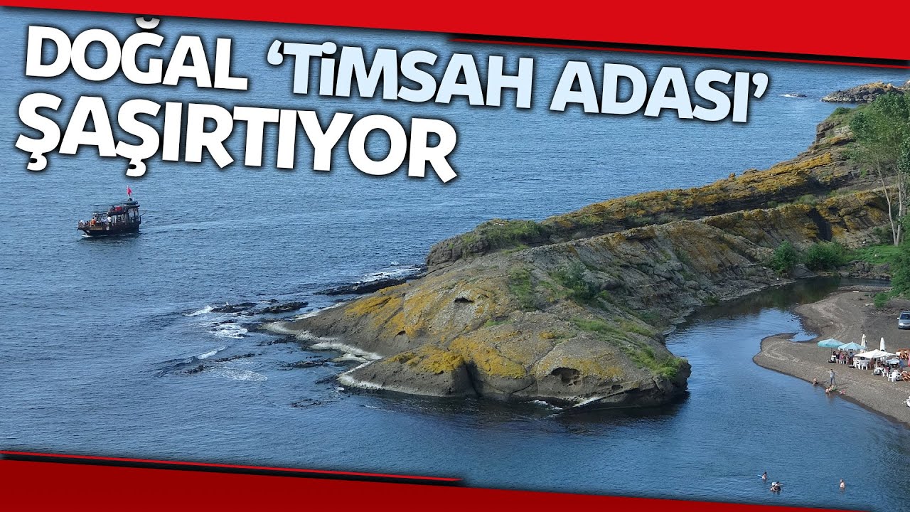 Timsah Adası, Ziyaret&ccedil;ilerin İlgisini &Ccedil;ekiyor