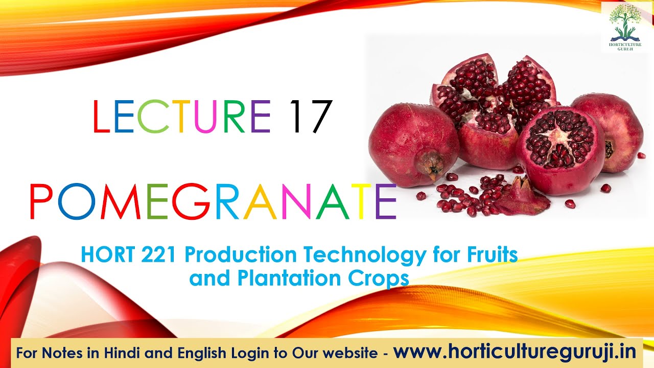 #HORT221 | Lecture 17 Pomegranate | अनार