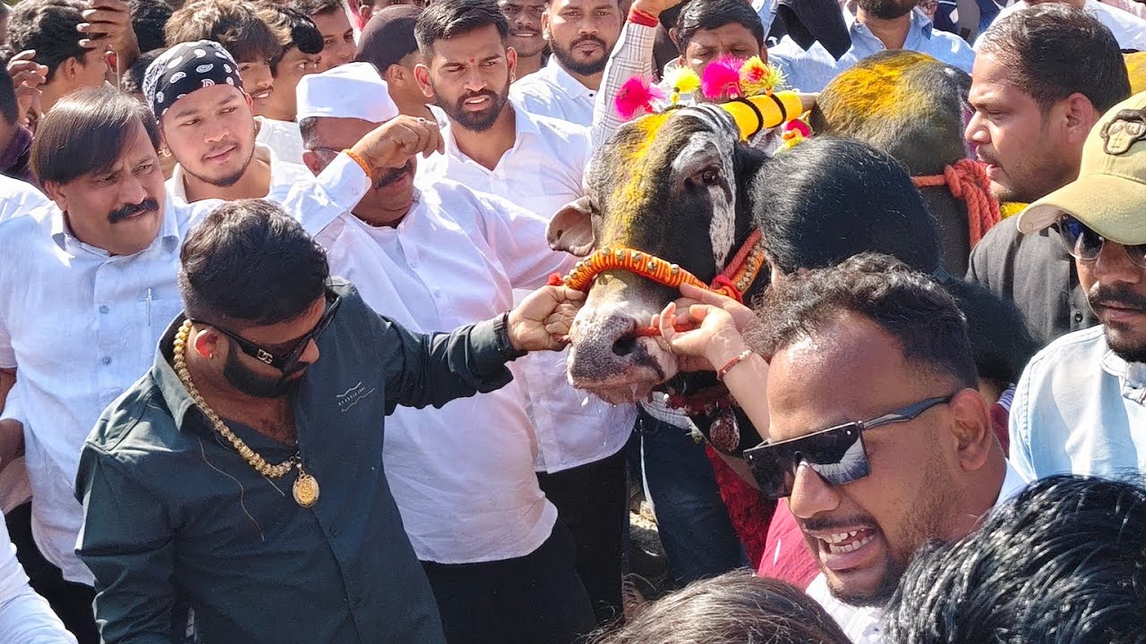 चिपळूण कृषी महोत्सव मधे मथूर चे आगमन फुल पब्लीक 🤩🤙🏻❤️‍🔥
