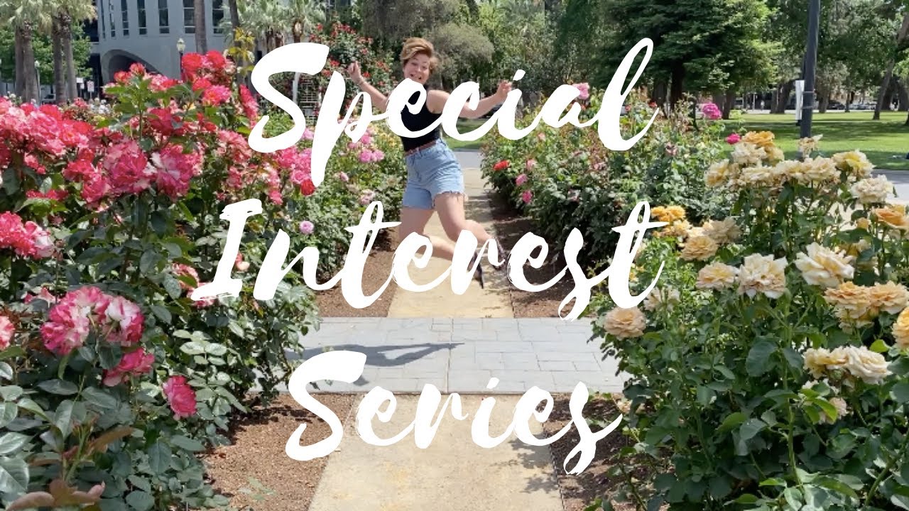 💚 GSHCC: Introducing the Special Interest Series (SIS)