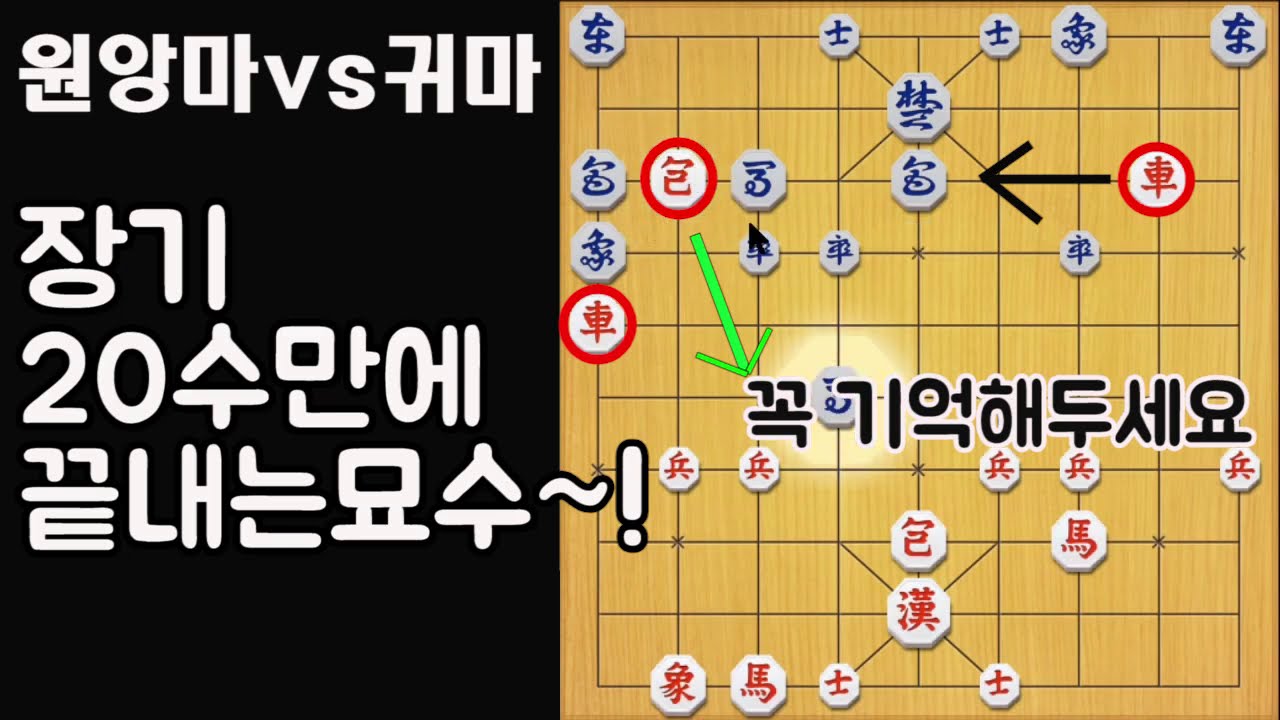 [장기20수만에 끝내는묘수] 꼭 기억해두세요~!