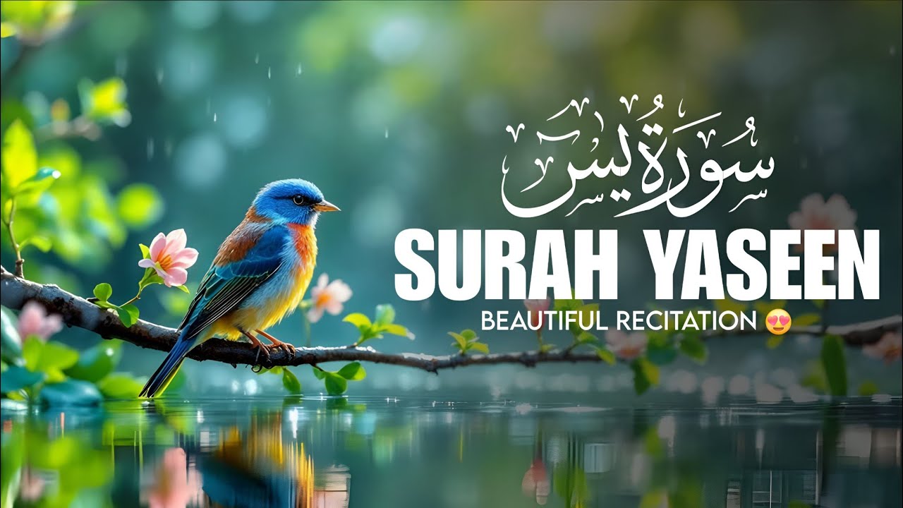 Surah Yasin | The Heart of the Qur'an | Soothing Recitation for Peace & Blessings