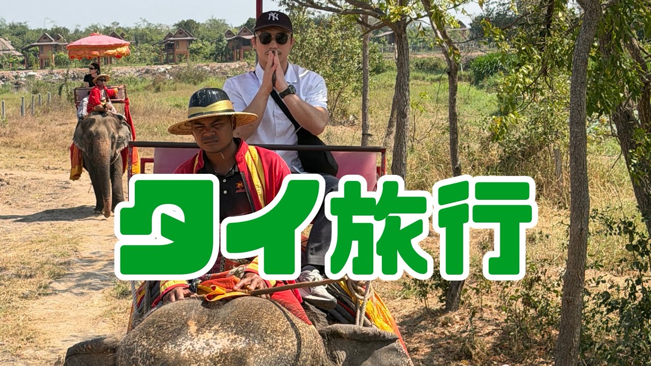 タイ旅行 #タイ #旅行 #旅行vlog  #thailand  #trip #bangkok #pattaya #tripvlog  