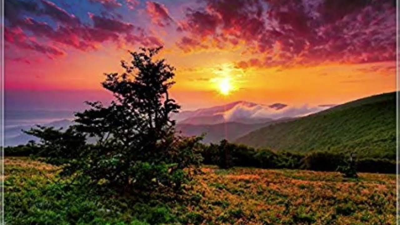 Johanna Perrin Middle School Live Stream