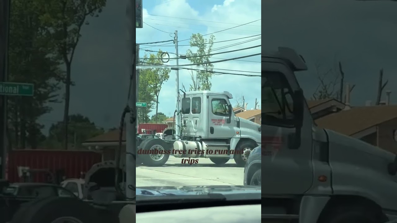 dumbass tree tries torun and trips #memes