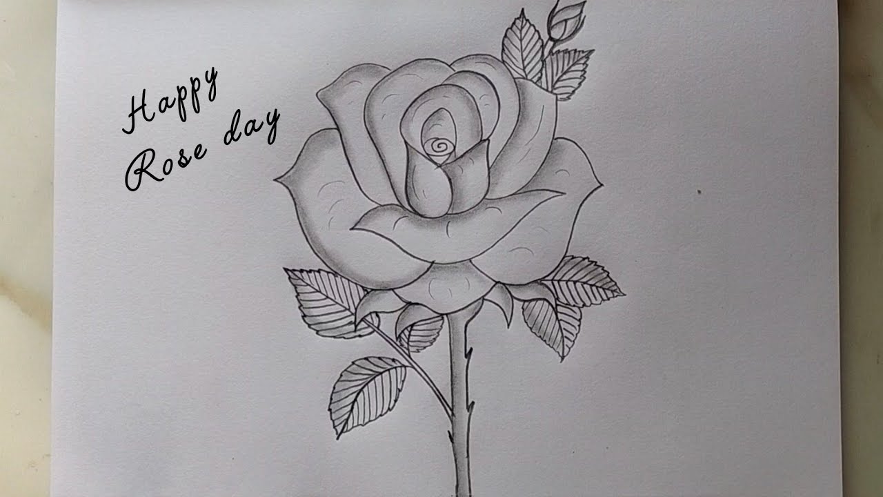 Rose Day drawing | How to draw rose flower| Pencil drawing| Rose Day| Valentine day Special drawing
