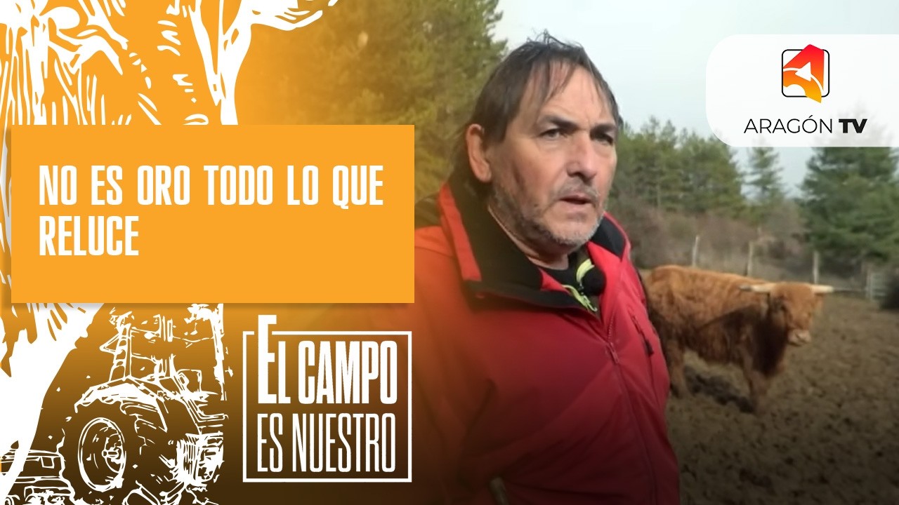 No es oro todo lo que reluce