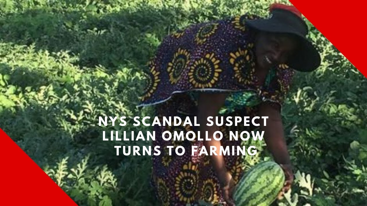 NYS scandal suspect Lillian Omollo now turns to farming