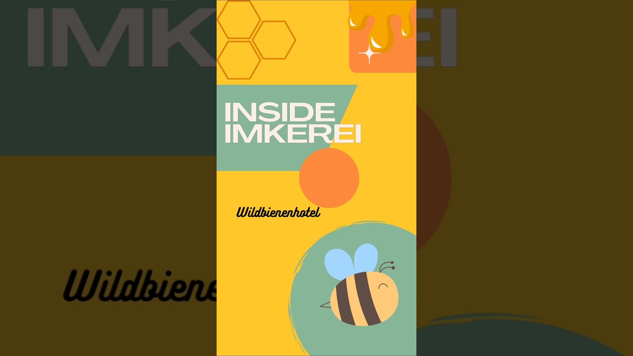 Wildbienenhotel #honey #honig #bee #honeybee #honigbiene #beekeeping #hamburg #hoisdorf #wildbees