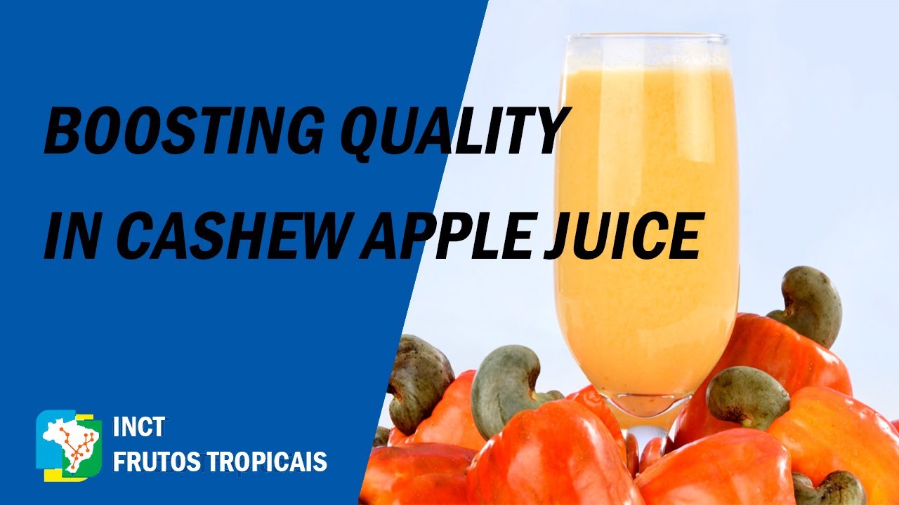 Improving Cashew Apple Juice with Cold Plasma and Ultrasound Technology