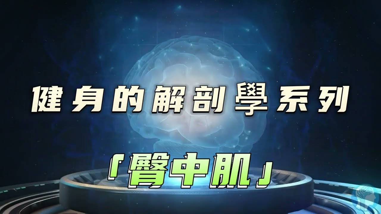 健身的解剖學第十一章：臀中肌的秘密