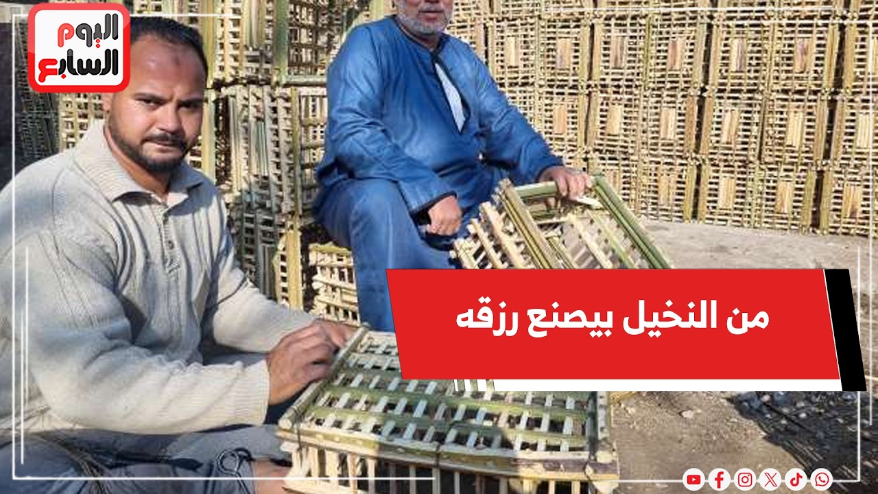 من النخيل بيصنع رزقه بقلب راضي .. خبرة سنين وكفاح في كل تحفة من الجريد