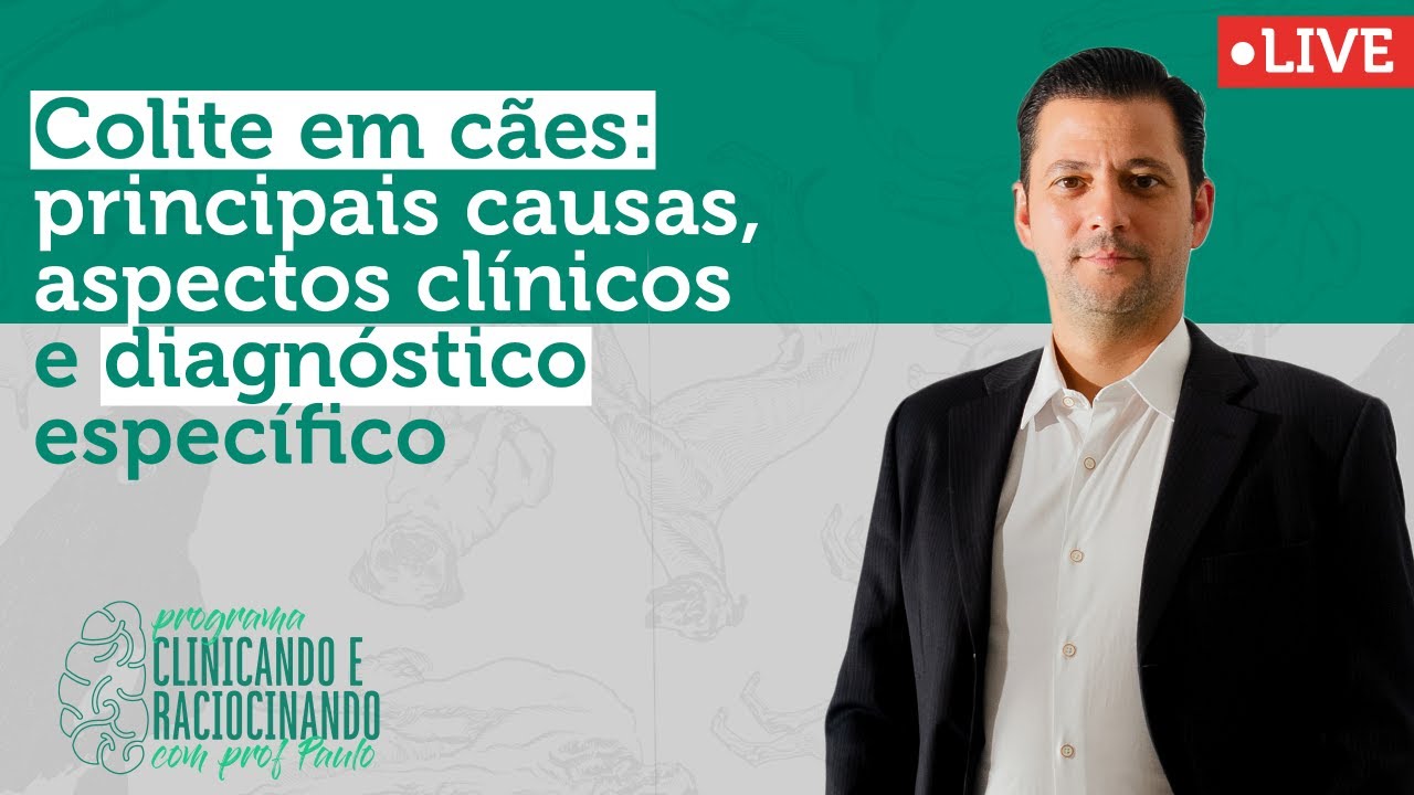 Colite em cães: principais causas, aspectos clínicos e diagnóstico específico