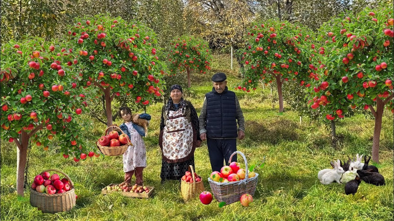 Бабушка и дедушка собирают яблоки 🍎 и варят ароматный домашний джем 🏡✨