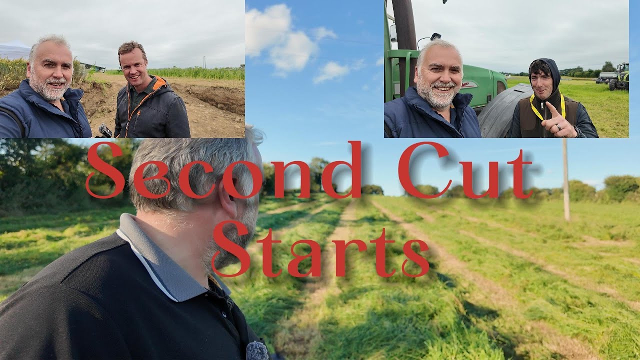 Second Cut Is A Go