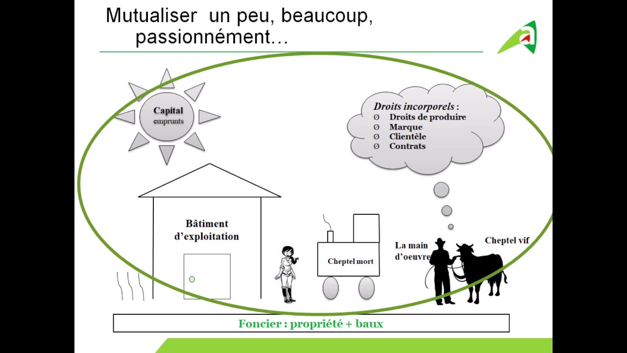 Les différentes formes de sociétés utilisées en agriculture, selon le projet de mutualisation
