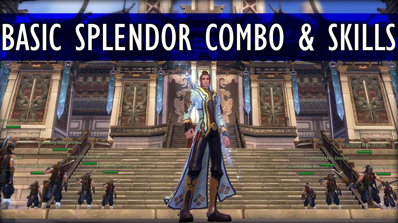SPLENDOR BASIC COMBO & SKILL SETS | Swordsman Online 200