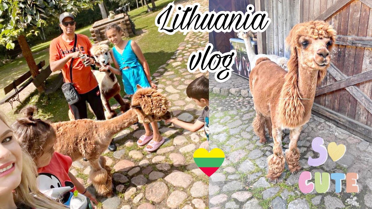 A day in Alpaca&rsquo;s farm | Sandhu family | Lithuania vlog 🇱🇹