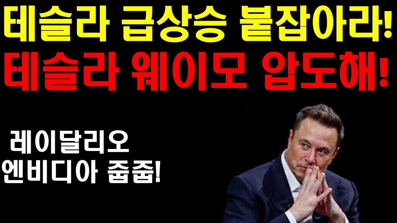 테슬라 급상승 놓쳐선 안되! 테슬라 웨이모 압도! 레이달리오 엔비디아 대규모 투자! 큰손들은 현재 떨어진 좋은 기업들 쓸어 담고 있는 중! 개미들은 공포를 잘 이겨내야 돈을 번다