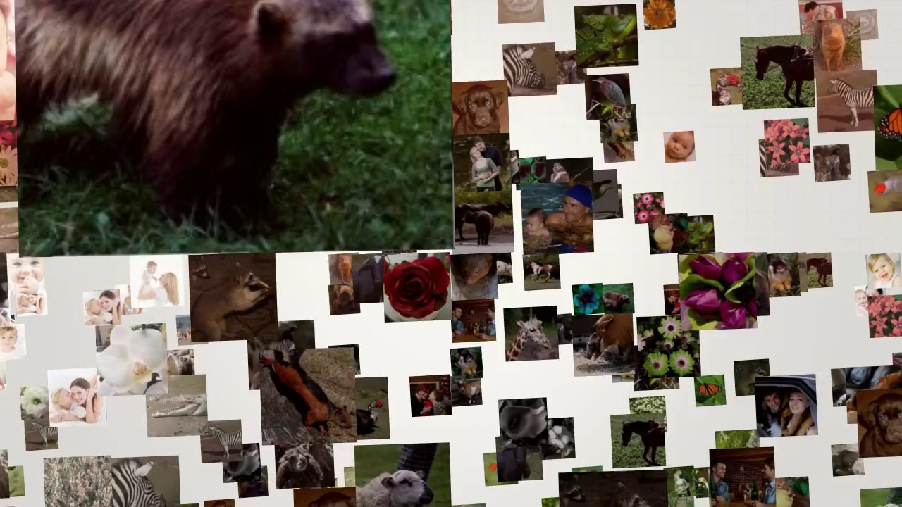 How to create a Photo mosaic Video