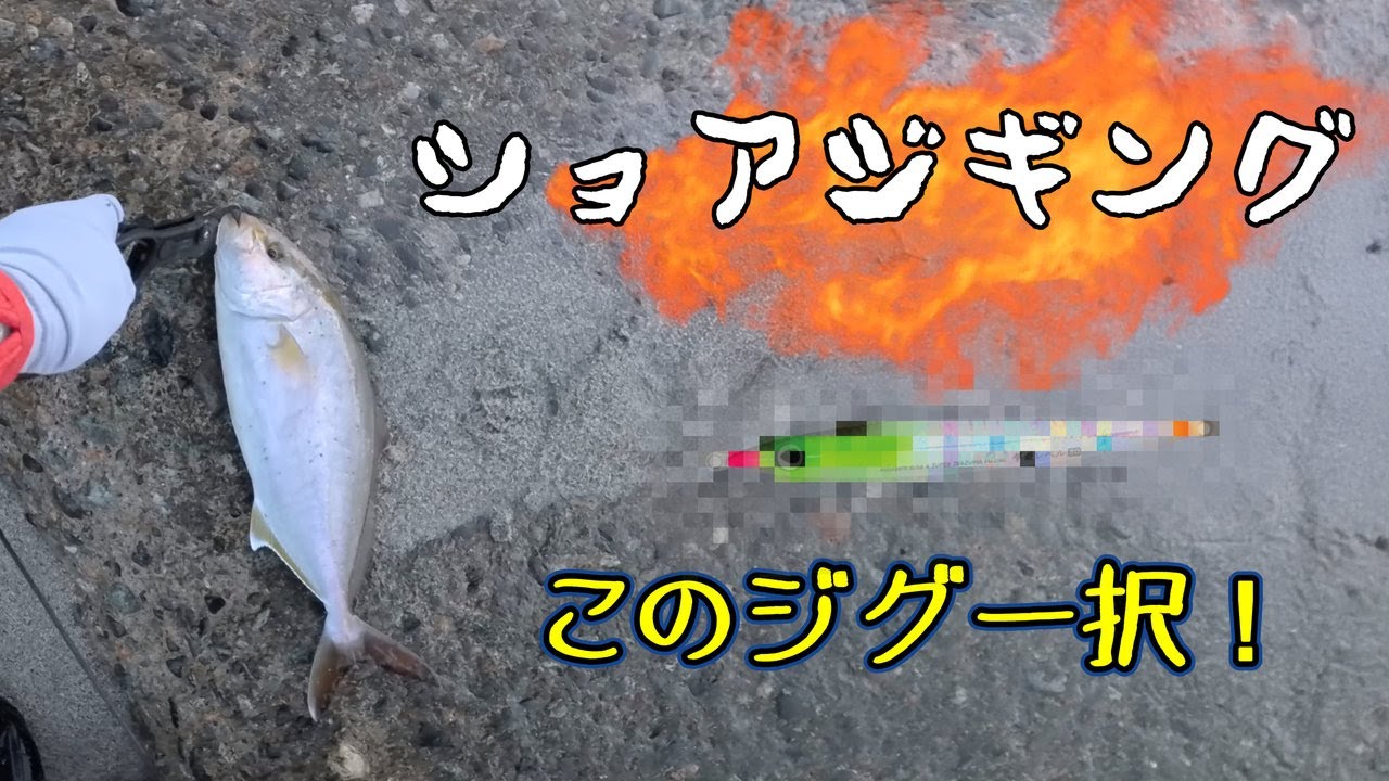 【ジギング】富山青物釣れています【富山】