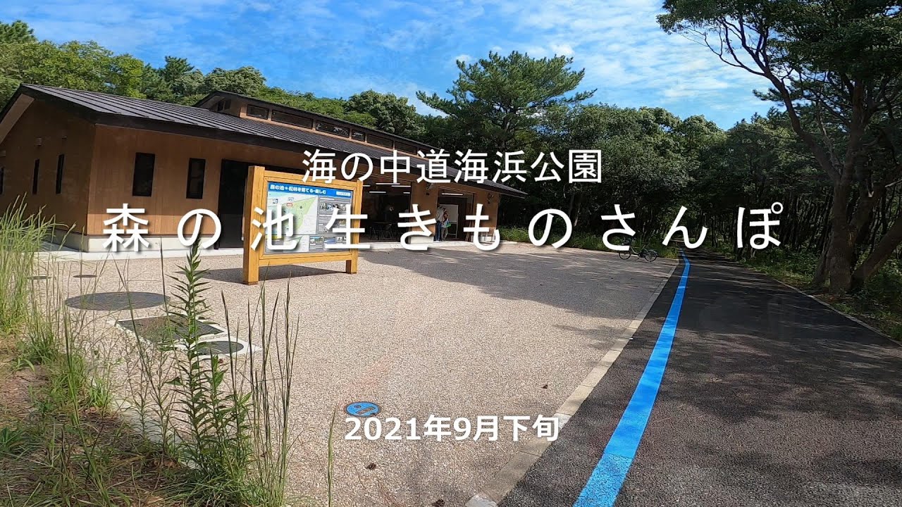 第9回「森の池生きものさんぽ」（2021年9月下旬撮影）