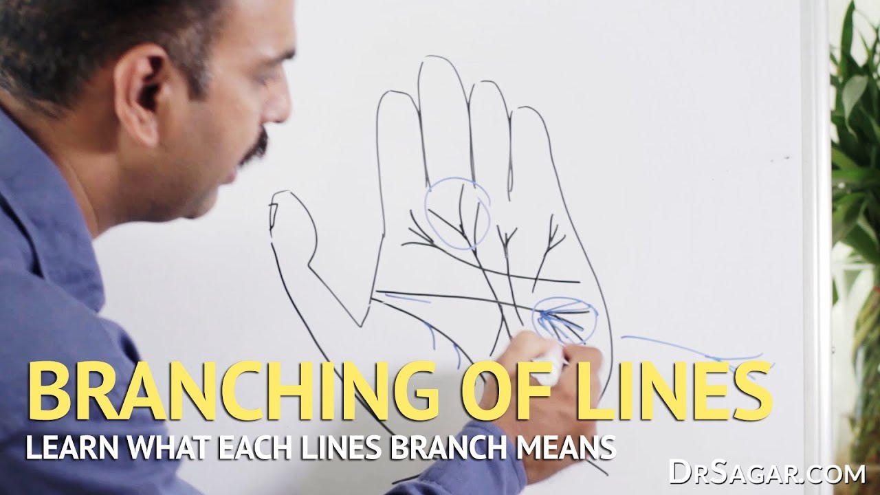 Branching of Lines in Hand | Palmistry