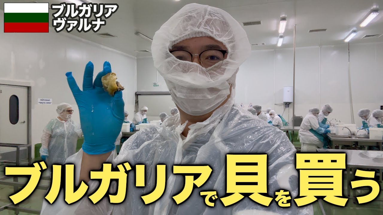 ブルガリアまで貝を買い付けに行ったら想像よりピンチでした...