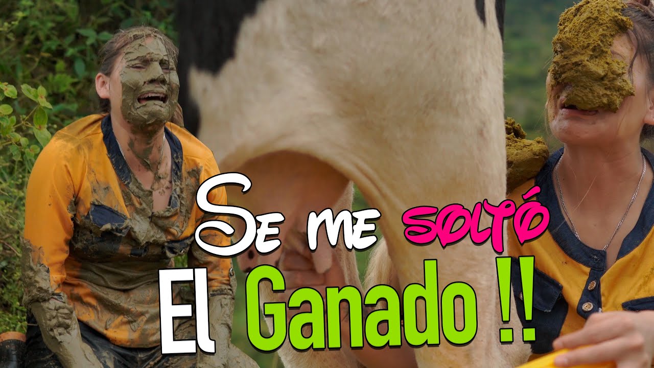 Se me Soltó  el ganado | EL VIDEO DE HUMOR MÁS VIRAL.