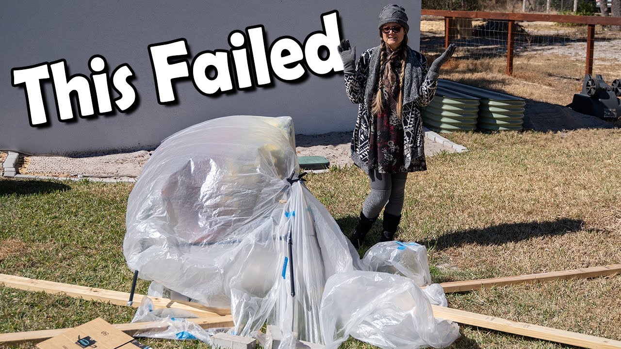 I Tried to Protect This Avocado Tree — Wind Had Other Plans
