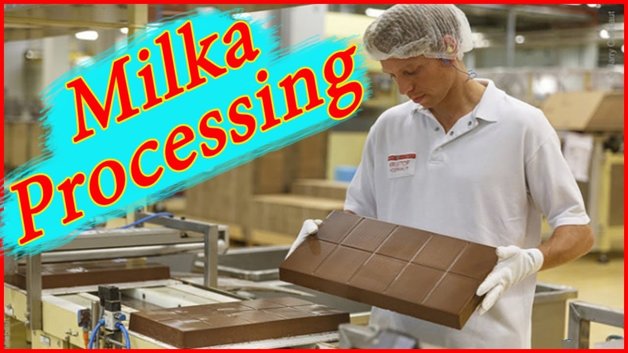 Amazing Milka Processing - Amazing Food Processing Machine 2017
