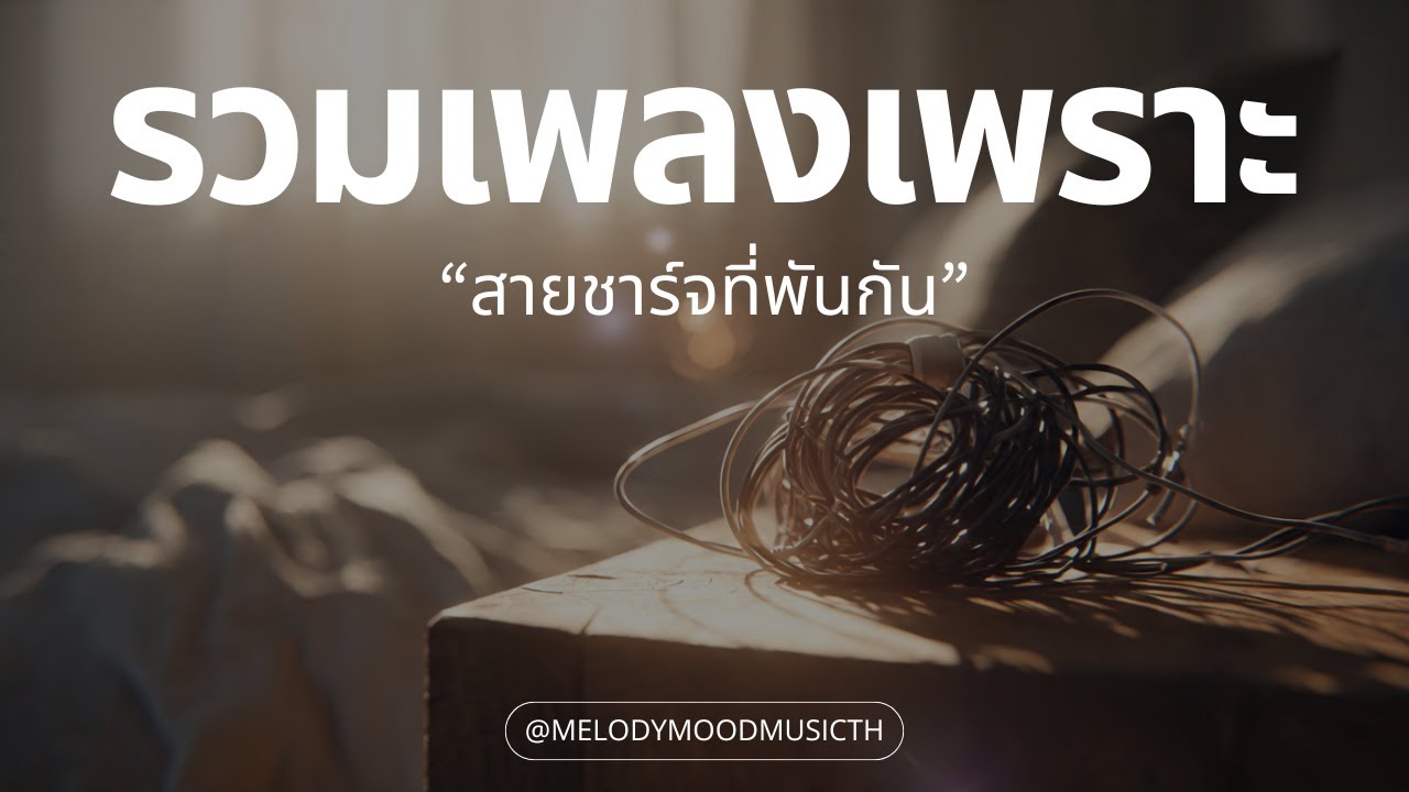 เพลงเพราะๆ ฟังสบายๆ 2026 | สายชาร์จที่พันกัน | รวมเพลง T-Pop R&B ช้าๆ ซึ้งกินใจ - Music Longplay