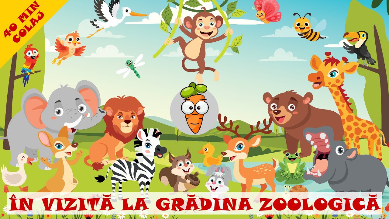 In Vizita La Gradina Zoologica - 40 Minute Colaj Cântece Pentru Copii