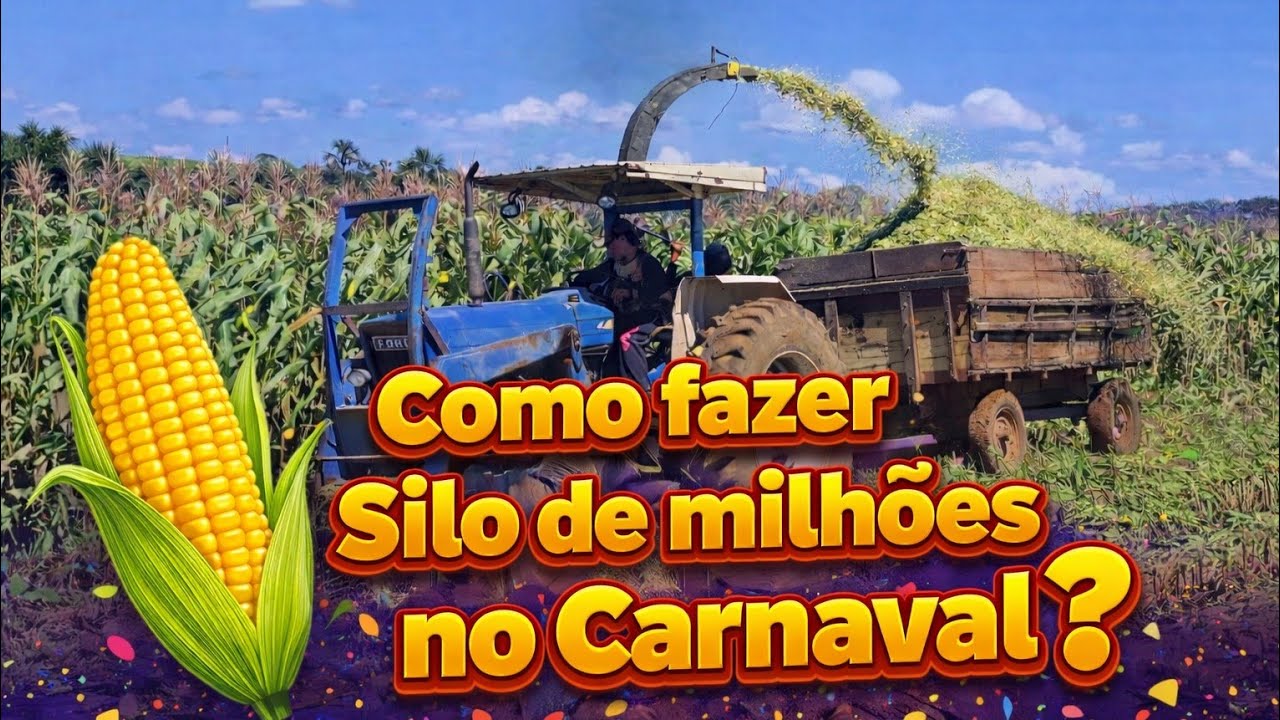 Você ja viu fazer Silo de Carnaval ?