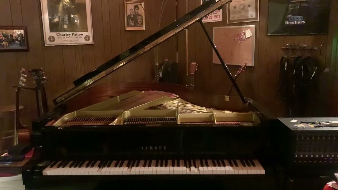 The Whole World and You by Tally Hall | Player Piano Arrangement