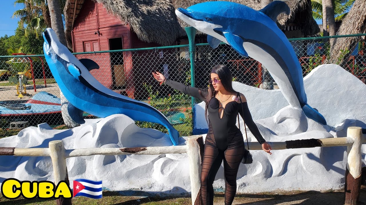 Así está el delfinario de Varadero. Mi experiencia🇨🇺🐬