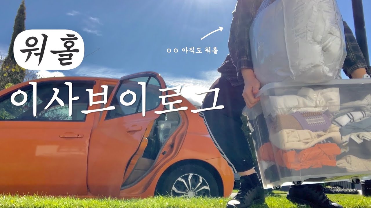 🇳🇿나도 이제 집 있다! (플랫 입주기)