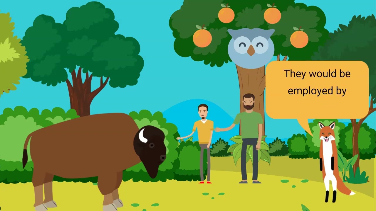 4.11 What is the Co Employer Model