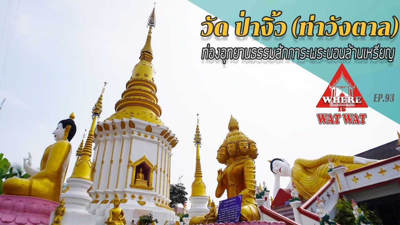 วัด ป่างิ้ว ท่าวังตาล อ.สารภี(แวร์ อิส วัด วัดEP.93)#วัดเชียงใหม่ #วัดสวยงาม #วัดอำเภอสารภี