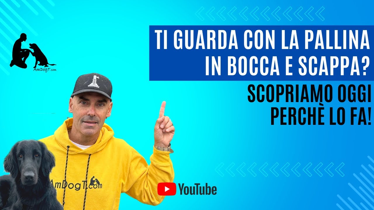 TI GUARDA CON LA PALLINA IN BOCCA E SCAPPA?