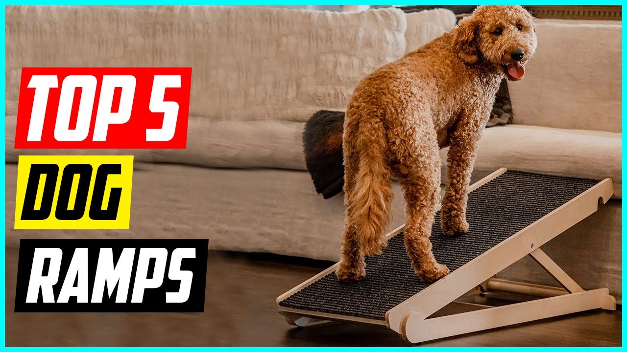 Top 5 Best Dog Ramps