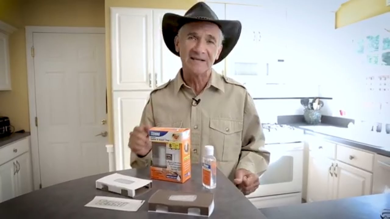 How to Quickly Get Rid of Spiders in Your Home